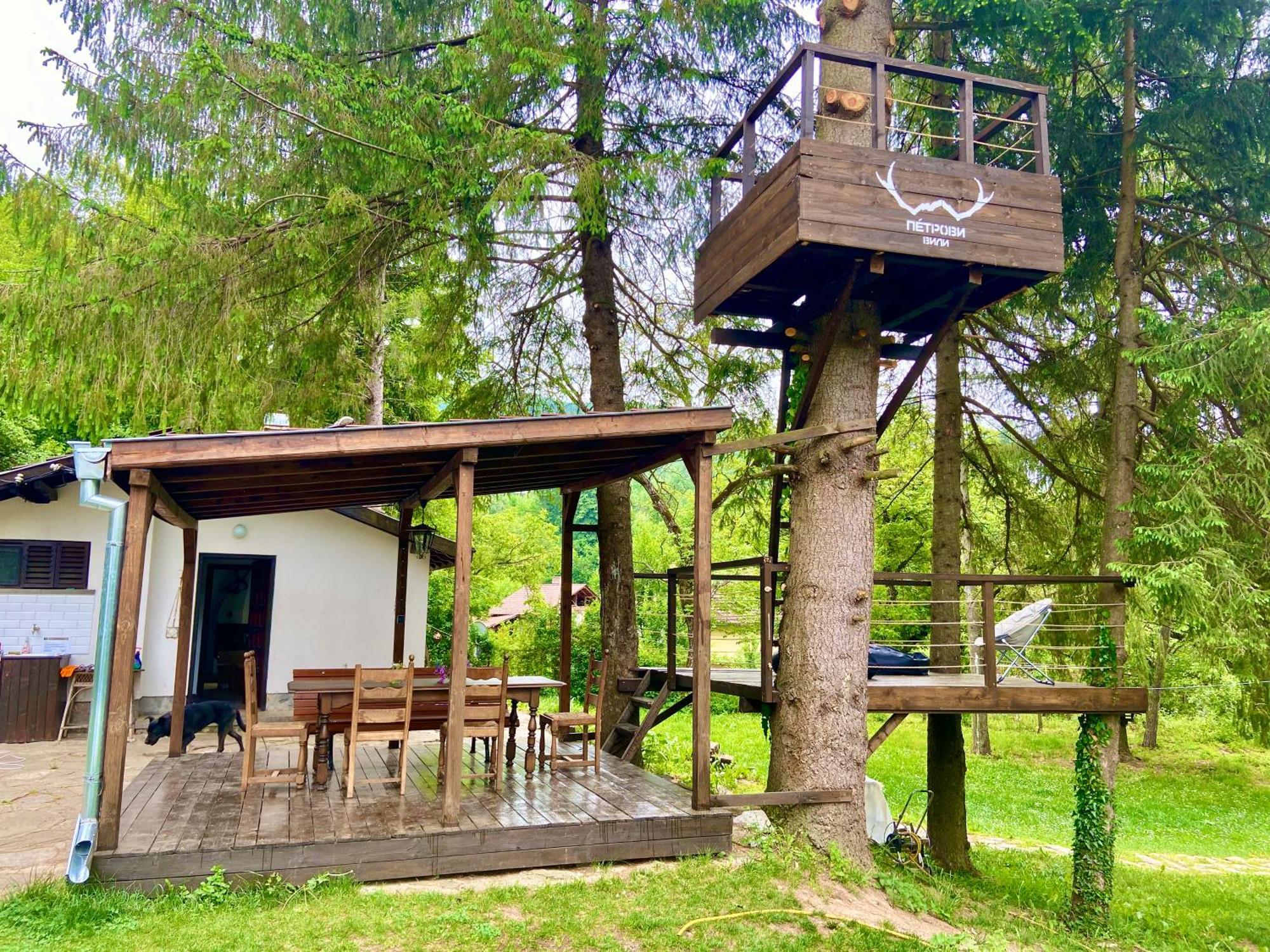 Пе́трови Вили Рибарица Экстерьер фото